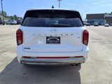 New 2025 Hyundai Palisade Calligraphy image 3