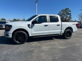 New 2025 Ford F150 STX w/ STX Black Appearance Package image 2