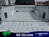 New 2025 Ford F150 STX w/ Equipment Group 200A image 6