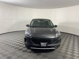 Used 2020 Ford Escape SE image 4