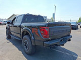 Used 2025 Ford F150 Raptor w/ Equipment Group 803A Raptor R image 4