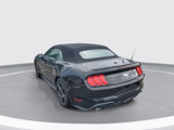 Certified 2023 Ford Mustang Premium image 3