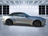 Used 2022 Ford Mustang Premium image 2