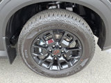 New 2025 Nissan Armada PRO-4X image 5