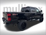New 2025 Ford F250 XL w/ STX Appearance Package image 3