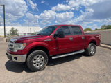Used 2014 Ford F150 XLT w/ Equipment Group 302A Luxury image 3