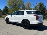 New 2025 Hyundai Palisade XRT image 4