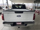 New 2025 Ford F150 XL w/ Equipment Group 103A High image 5