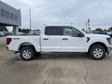 New 2025 Ford F150 XL w/ Equipment Group 103A High image 3