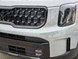 New 2025 Kia Telluride SX Prestige X-Line image 5