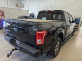 Used 2015 Ford F150 XLT w/ Equipment Group 301A Mid image 5