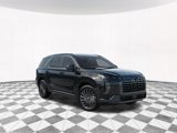 New 2025 Hyundai Palisade Calligraphy image 2