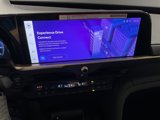 New 2025 Toyota Crown Platinum image 3
