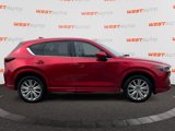 Used 2023 MAZDA CX-5 Signature image 6