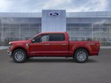 New 2025 Ford F150 XLT w/ Equipment Group 302A MID image 3