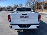 New 2025 GMC Sierra 1500 Elevation image 5