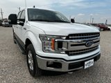 Used 2019 Ford F150 XLT w/ Equipment Group 302A Luxury image 2