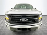 New 2025 Ford F150 XLT w/ Equipment Group 302A MID image 2