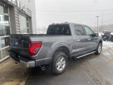 New 2025 Ford F150 XLT w/ Equipment Group 302A MID image 3