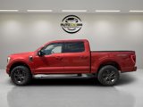 Used 2023 Ford F150 XLT w/ Equipment Group 302A High image 5