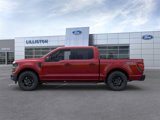 New 2025 Ford F150 STX w/ Equipment Group 201A FX4 image 3