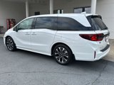 New 2025 Honda Odyssey Elite image 3
