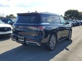 New 2025 INFINITI QX80 Luxe w/ Exterior Package image 4