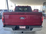 New 2025 Ford F150 XLT w/ Equipment Group 302A MID image 5