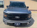 New 2025 Ford F150 XLT image 2
