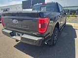 Certified 2023 Ford F150 XLT w/ Equipment Group 302A High image 4