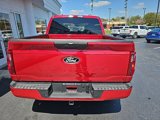 New 2025 Ford F150 STX w/ STX Black Appearance Package image 5