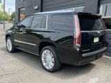 Used 2015 Cadillac Escalade Platinum image 3