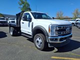New 2025 Ford F550 4x4 Regular Cab Super Duty image 3