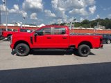 New 2025 Ford F250 XL image 6