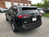 Certified 2025 Toyota RAV4 LE image 5