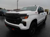 Certified 2023 Chevrolet Silverado 1500 Custom Trail Boss image 3