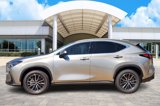 New 2026 Lexus NX 350 AWD w/ Premium Package image 3