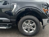 New 2025 Ford F150 XLT w/ Equipment Group 302A MID image 3