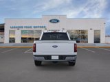 New 2025 Ford F150 XLT w/ Equipment Group 302A MID image 5