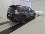 Used 2023 Lexus GX 460 Premium image 4