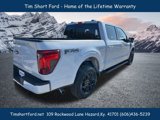 New 2025 Ford F150 XLT w/ Equipment Group 302A MID image 5