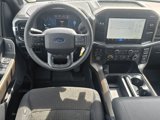 New 2025 Ford F150 STX image 5