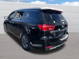 Used 2019 Kia Sedona SX image 5