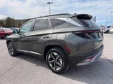 New 2025 Hyundai Tucson SEL image 5