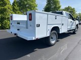 New 2025 Ford F350 XL w/ Snow Plow Prep Package image 4