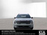 New 2025 Kia Carnival SX Prestige image 2