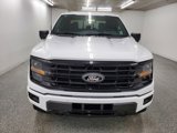 New 2025 Ford F150 XLT w/ Equipment Group 302A MID image 2