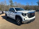 New 2025 GMC Sierra 1500 Pro w/ Pro Value Package image 2