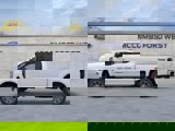 New 2025 Ford F250 Platinum w/ Platinum Plus Package image 5