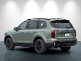 New 2025 Kia Telluride SX Prestige X-Pro image 6